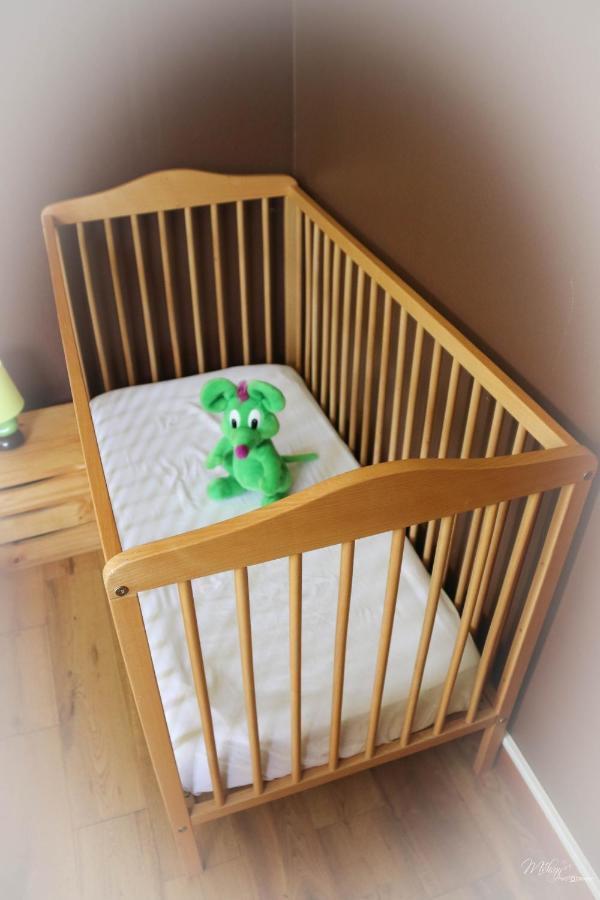 Gite De La Souris Verte Molamboz エクステリア 写真